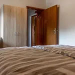 Two Bedroom Apartma