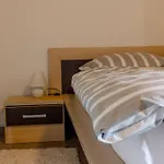 Two Bedroom * Recica ob Savinji