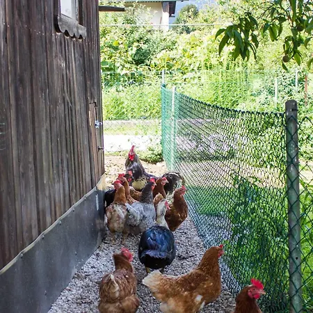 Two Bedroom Recica ob Savinji