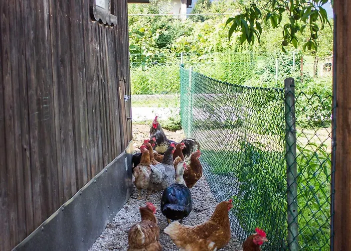 Two Bedroom Rečica ob Savinji